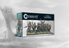 Conquest: Nords Valkyries