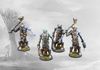 Conquest: Nords Trolls