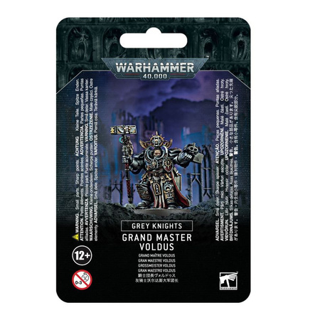 Warhammer 40.000 Grey Knights: Grand Master Voldus
