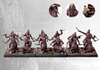 Conquest: Old Dominion Hashashin (Dual Kit)