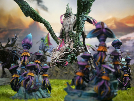 Conquest: Weaver Courts Coill Draic (Dual Kit)