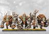 Conquest: Weaver Courts Crann Guardians